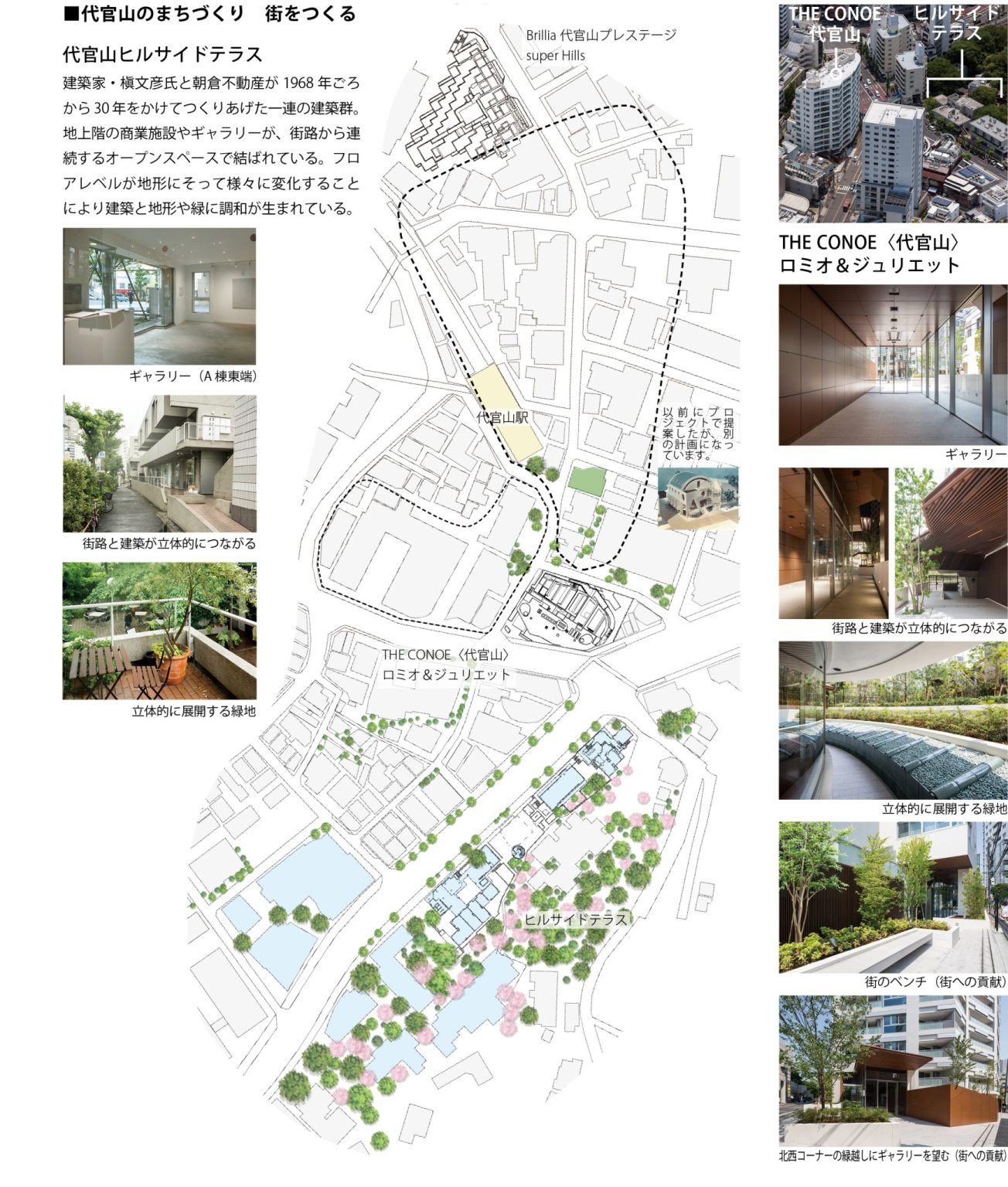 THE CONOE 代官山_槙